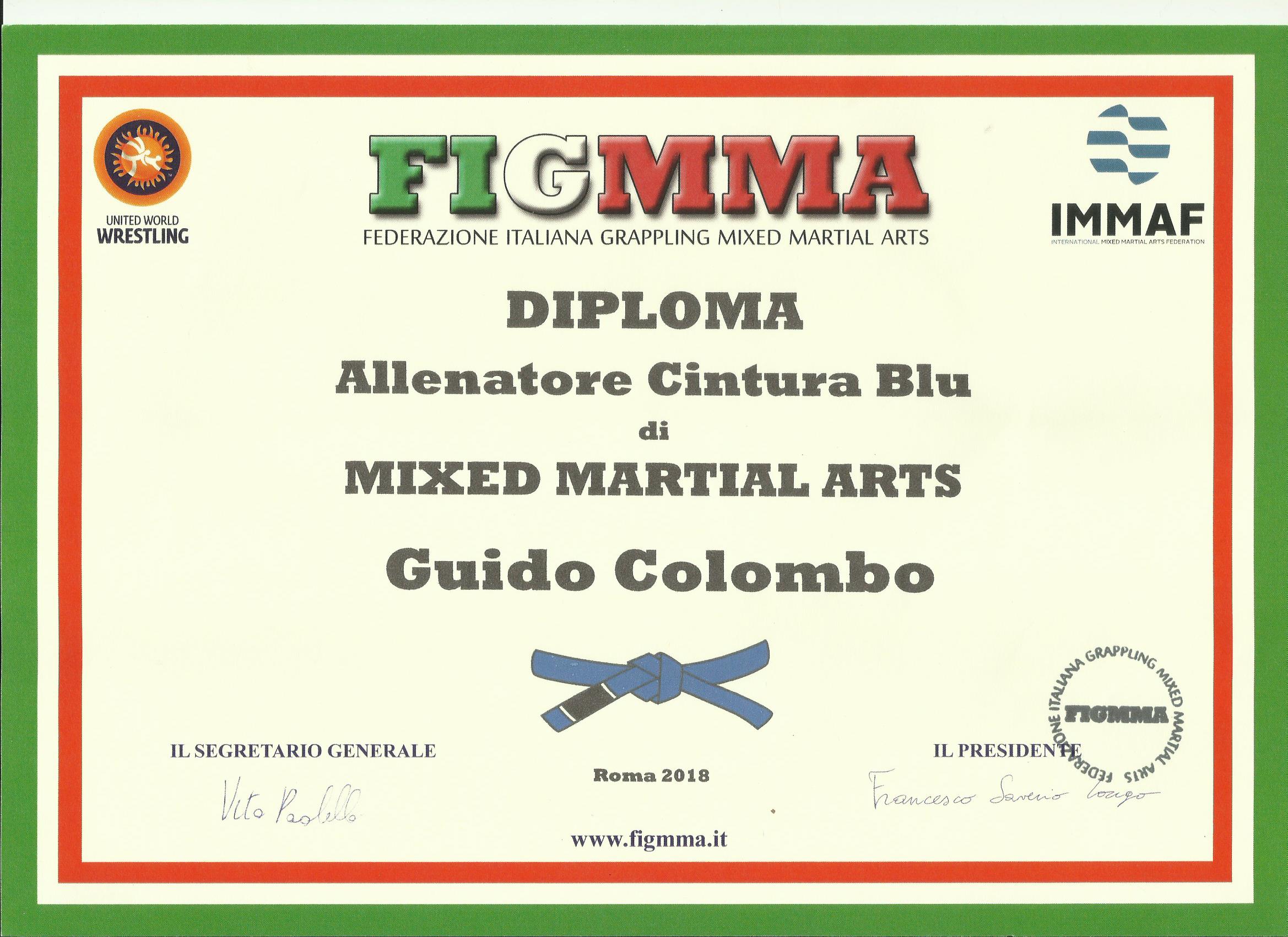 MMA-FIGMMA