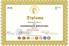 DiplomaSubSenior