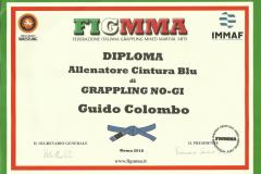 Grappling-FIGMMA